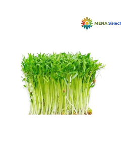 Mầm Rau Muống Việt An 150g