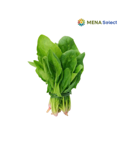 Xà Lách Romaine Xanh BioNgon Gói 200g