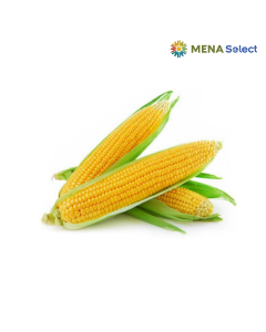 Trái Bắp Mỹ Miền Tây Kamereo 1 Trái
