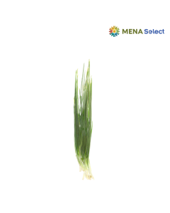 Hành Lá Đà Lạt 100g