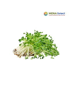 HRC Rau Mầm Củ Cải Hộp 100G