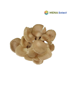 Nấm Bào Ngư Xám Tươi 200g