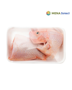 Cá Diêu Hồng Tươi Ocean SeaFood Khay 400-600g