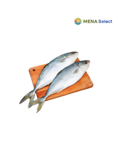 Cá Cam Tươi Ocean Seafood Khay 400-600g