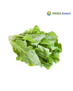 Xà lách Romaine xanh LAF gói 200g