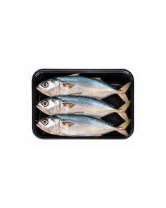 Cá Bạc Má Tươi Ocean Seadood Khay 300g