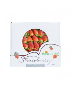 Dâu Tây Giống Úc HasFarm Hộp 230g