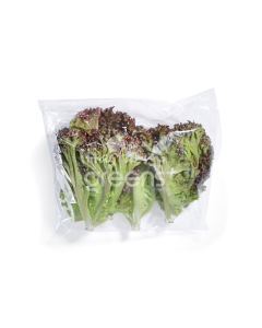 Rau Xà Lách Lollo Tím 300g
