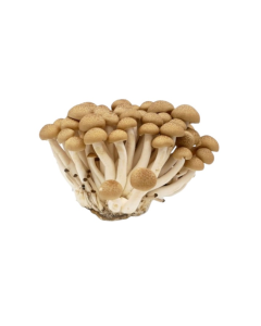 Nấm Hương Tươi 150g