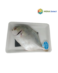 Cá Chim Trắng Làm Sạch Alo Fish Khay 300-450g/Con