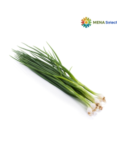 Hành Lá Đà Lạt 100g