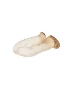 Nấm Đùi Gà Tươi 200g