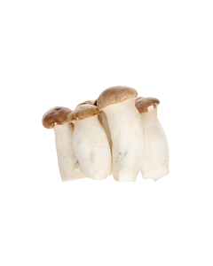 Nấm Đùi Gà Baby Tươi 200g