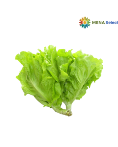 Rau Xà Lách Mỡ Đà Lạt 300g