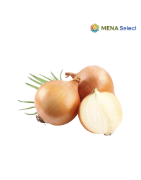 Củ Hành Tây NewZealand 400g