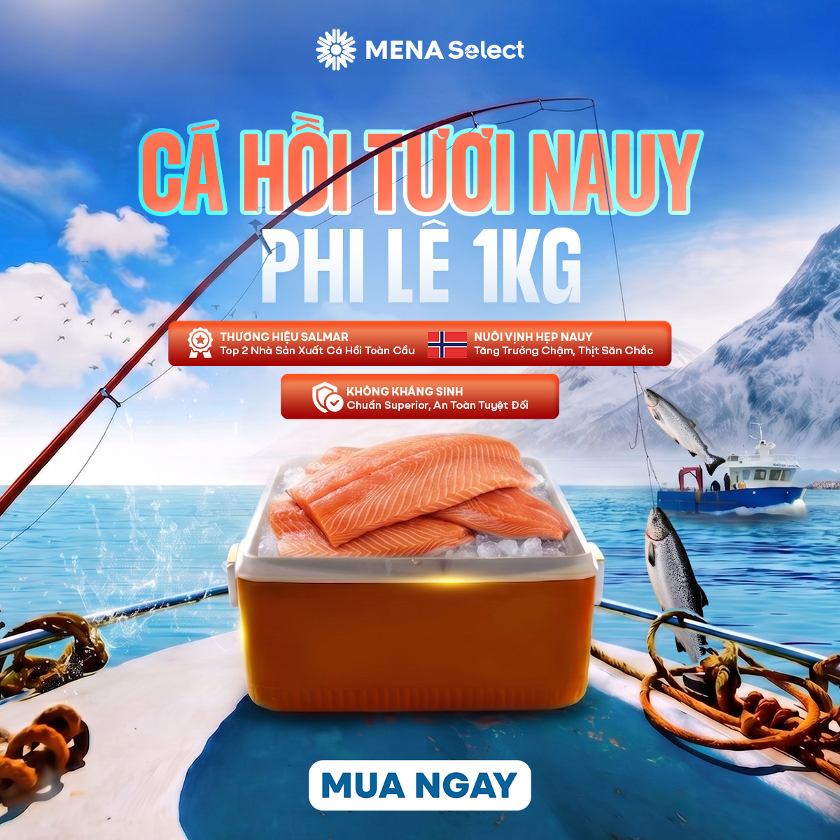 Promotional Banner