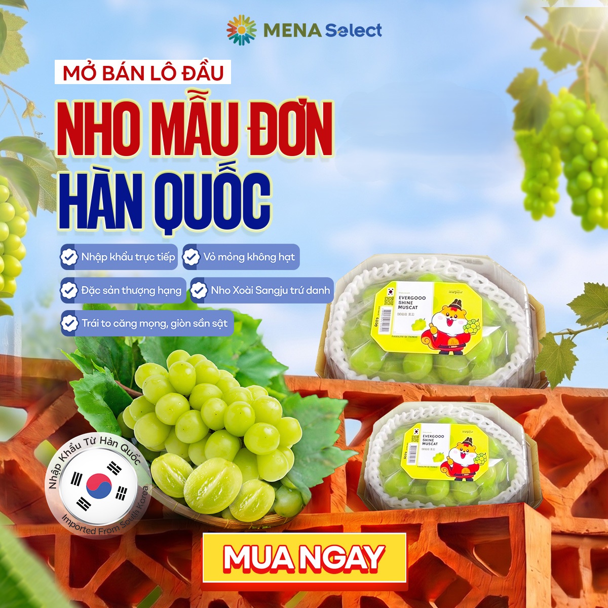 Promotional Banner